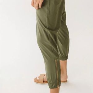 Albion sage jetsetters